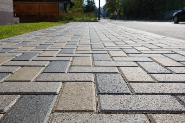 Best Driveway Pavers for Homes  in Carson City, MI