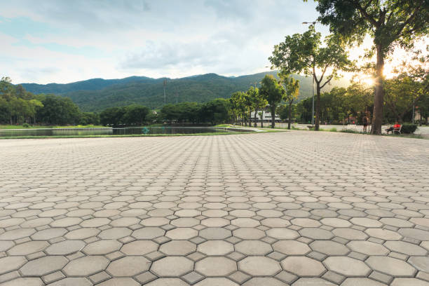 Professional Driveway Pavers in Carson City, MI