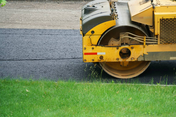 Best Professional Driveway Pavers  in Carson City, MI