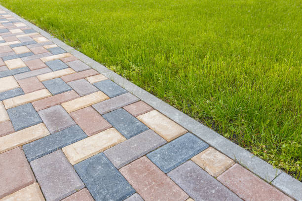 Best Local Driveway Pavers  in Carson City, MI